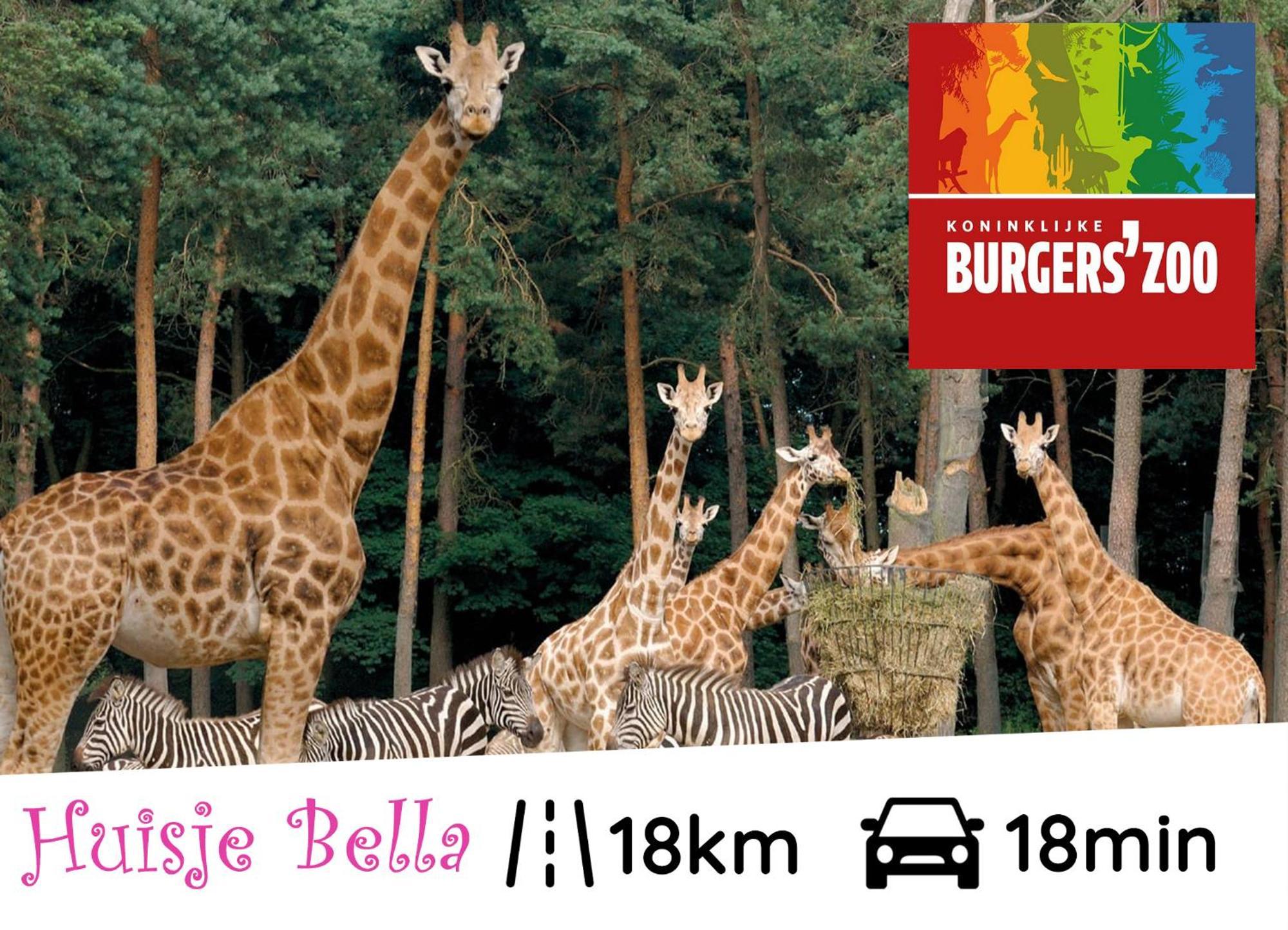 Chalet Huisje Bella Op De Veluwe Max 2 Volwassene Бикберген Экстерьер фото